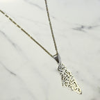 Rayan silver Palestine Map