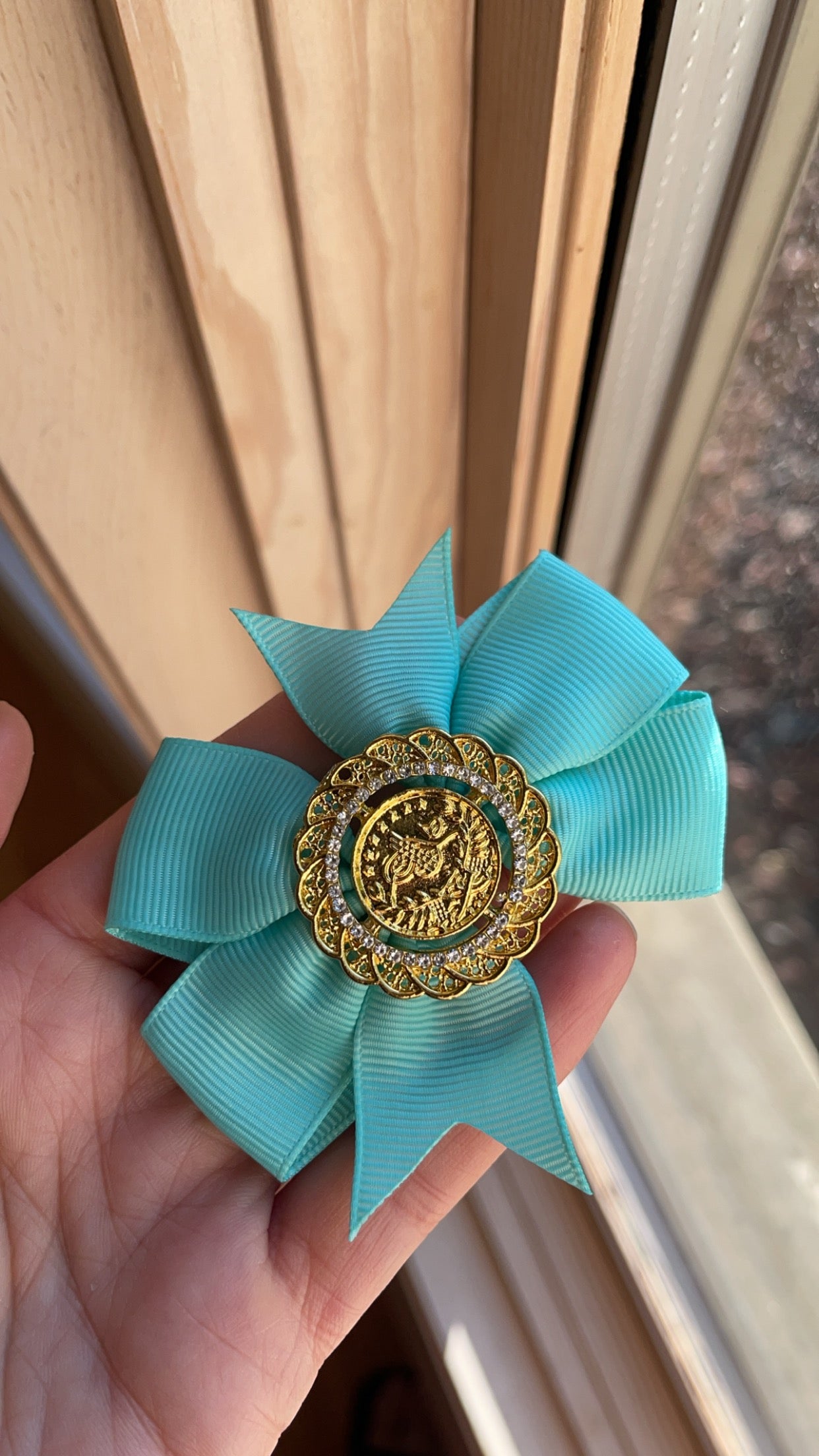 Yara coin hair Bow clip