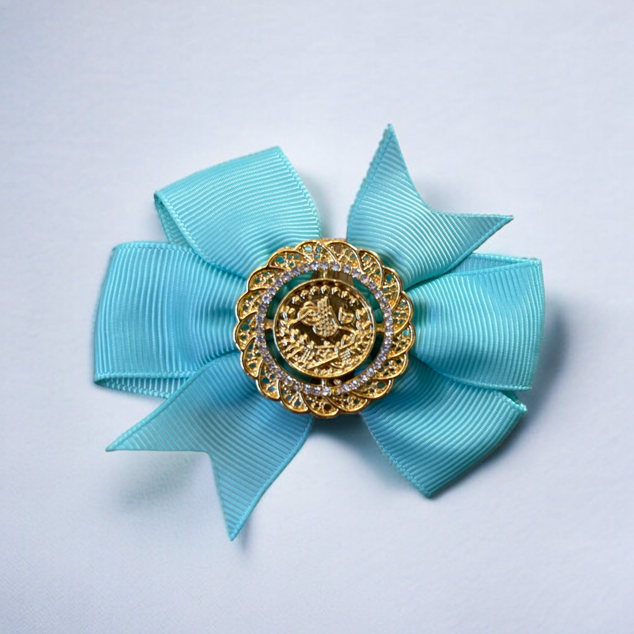 Yara coin hair Bow clip