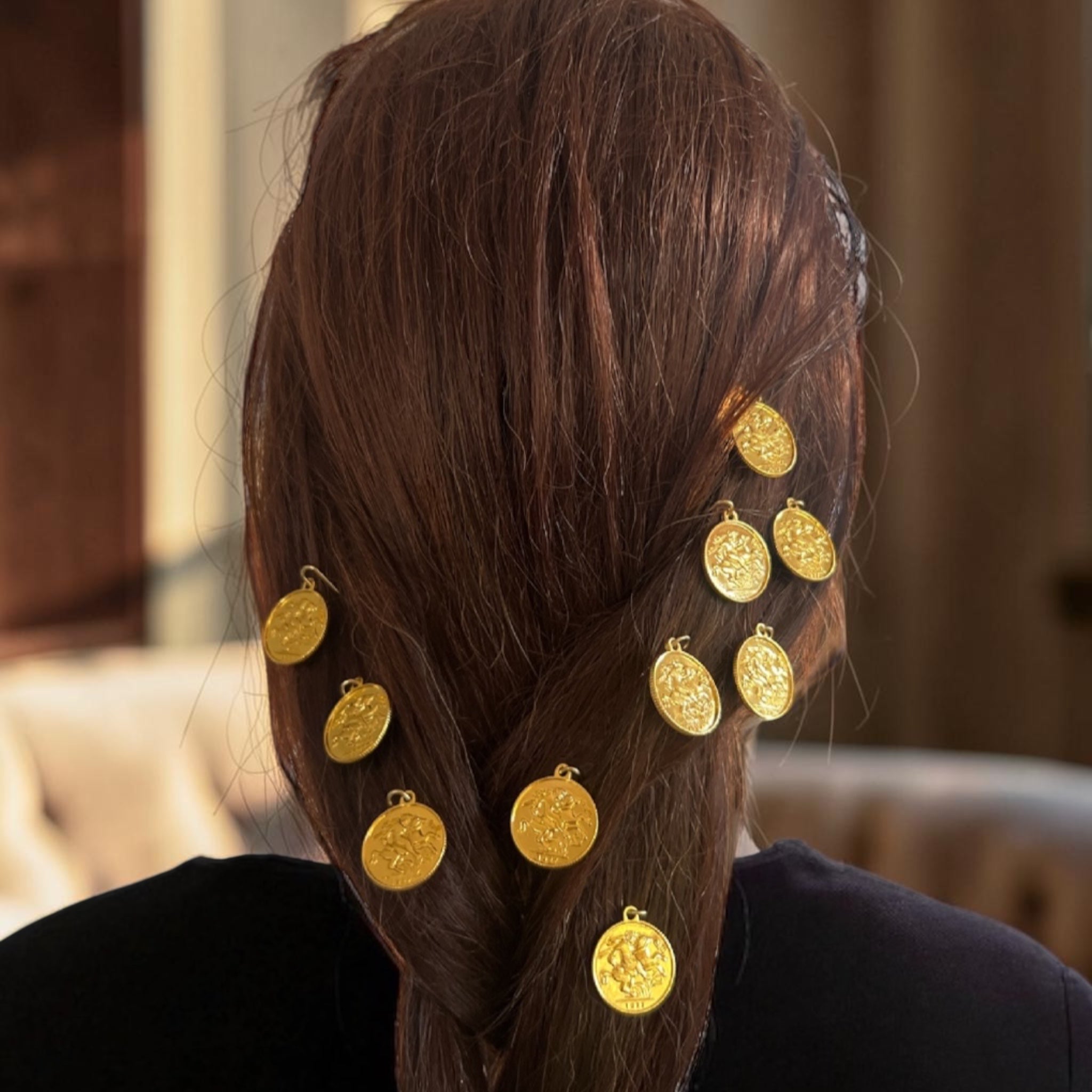 Ten coins poppy pins