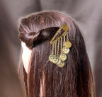 Bessan coin hair clip
