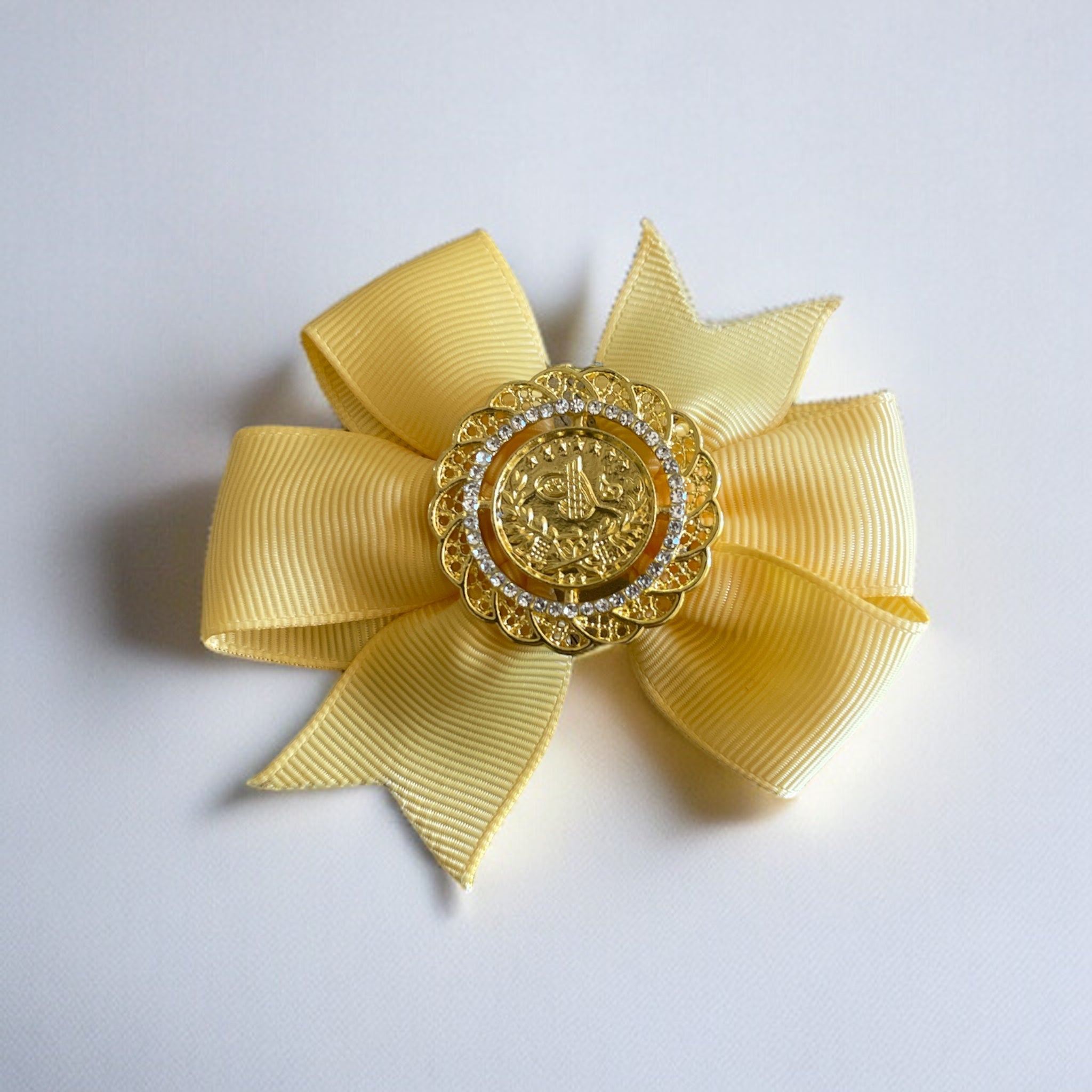 Yara coin hair Bow clip