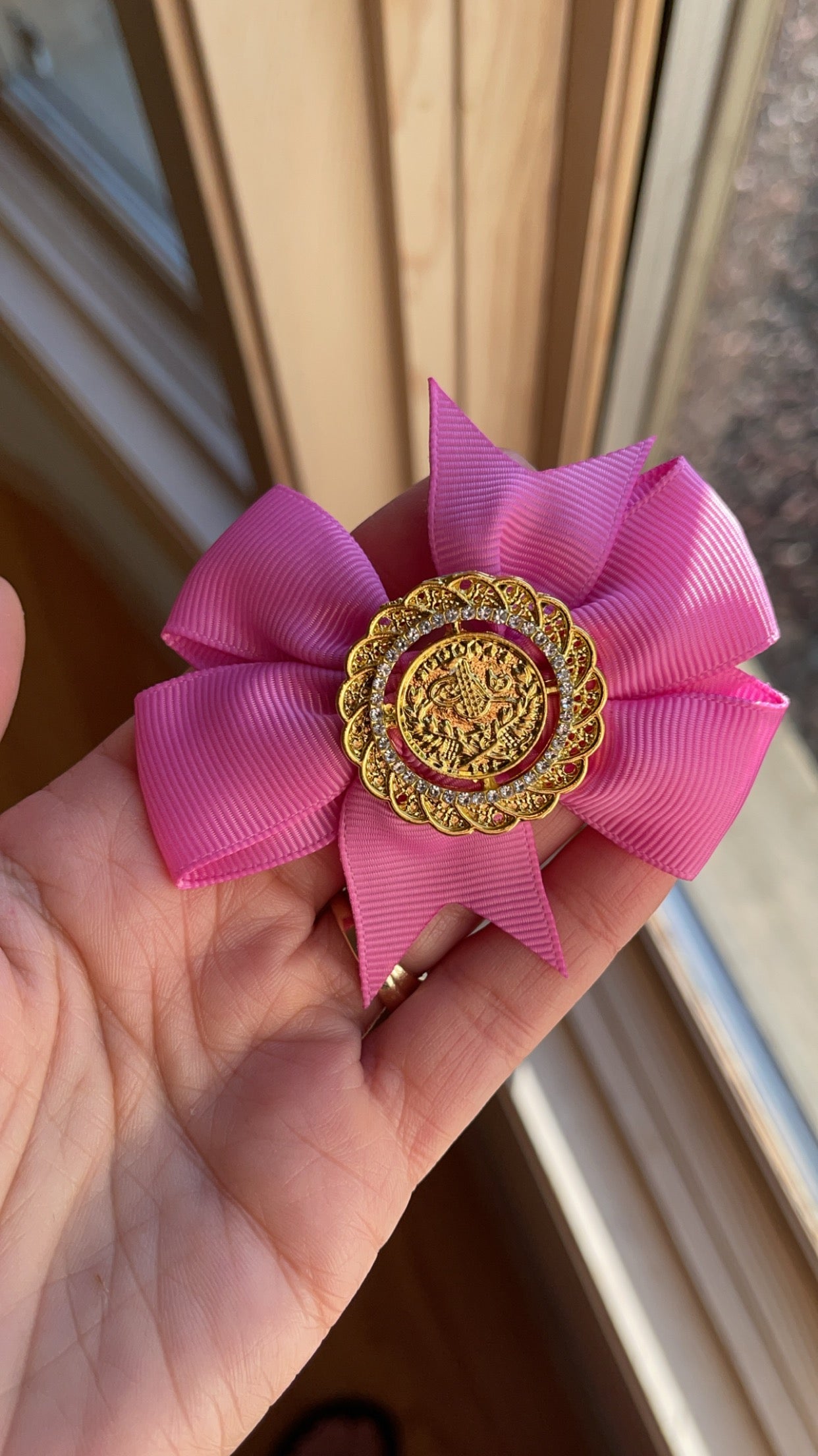 Yara coin hair Bow clip