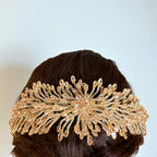 Beit Nabala Gold and champagne headpiece