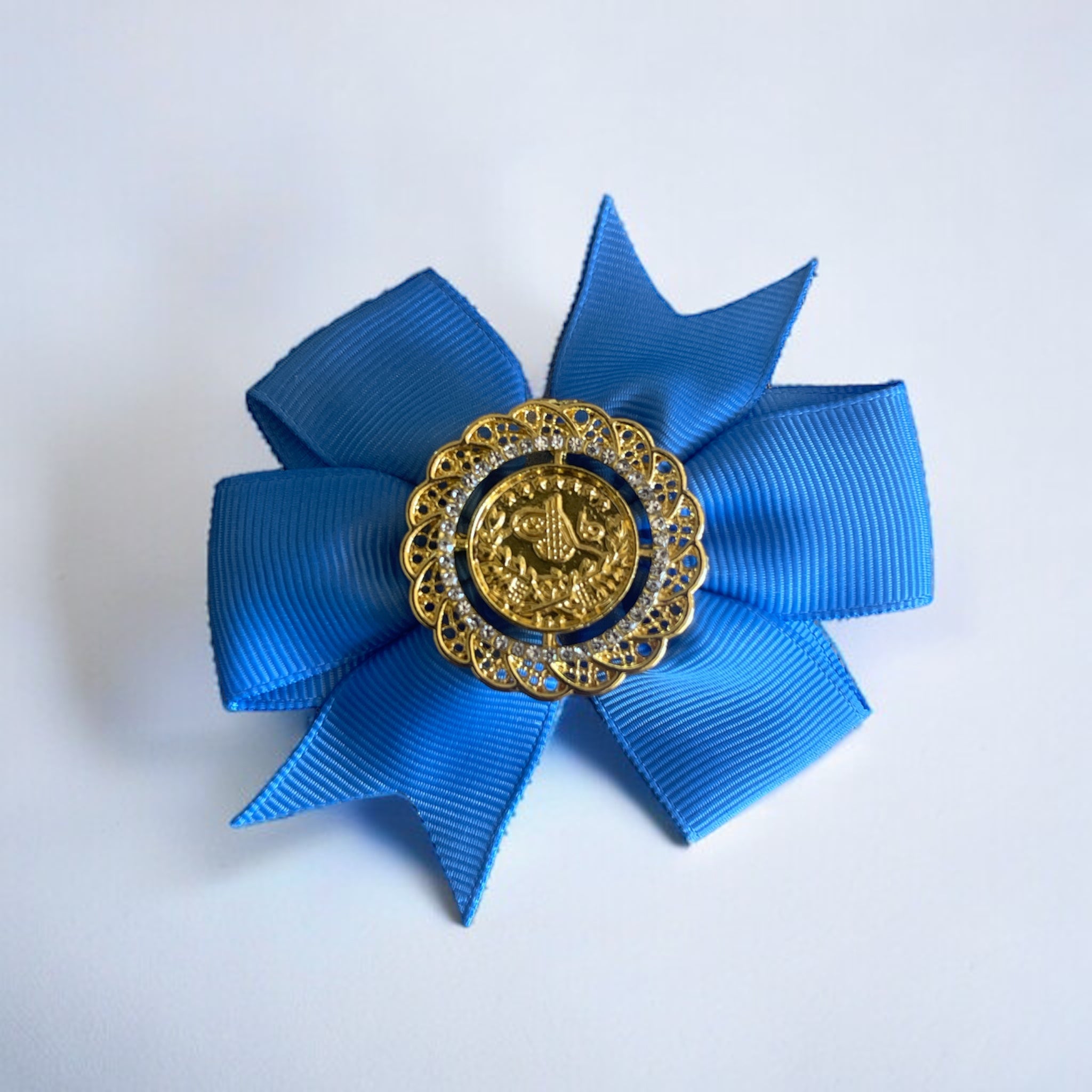 Yara coin hair Bow clip