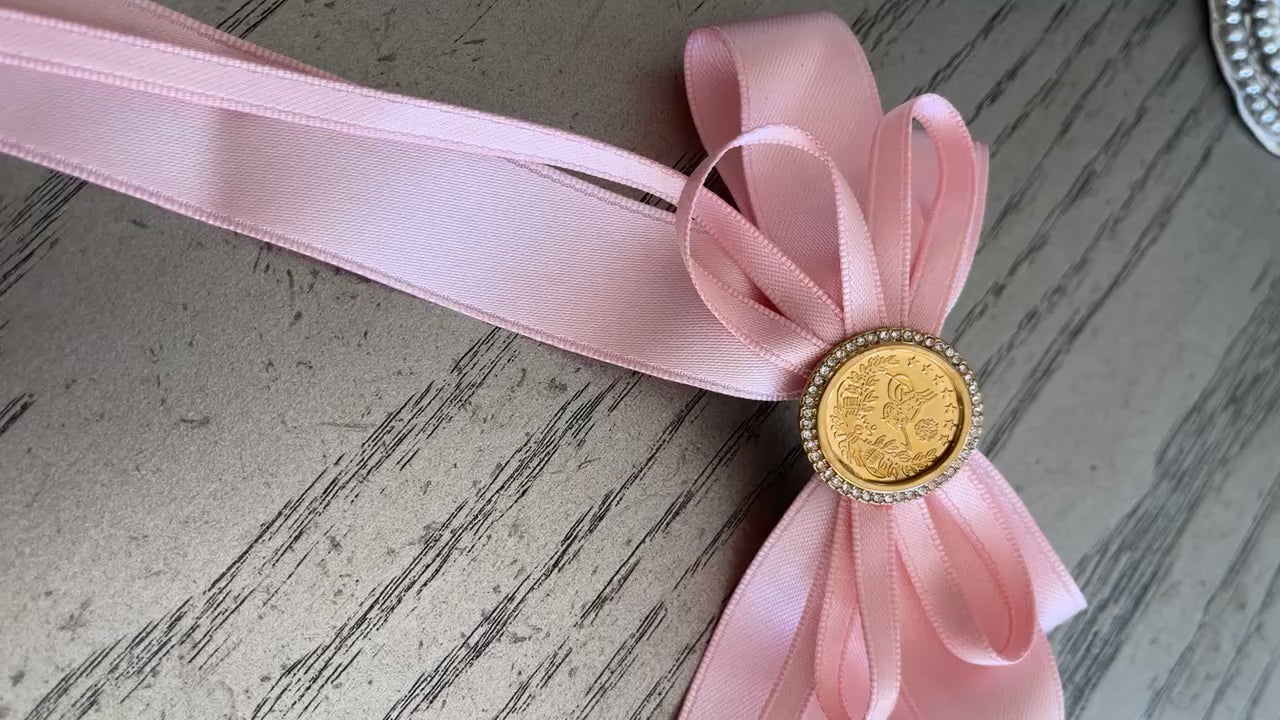 Julia Pink Bow clip with coin